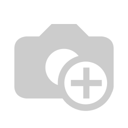 Ice Services